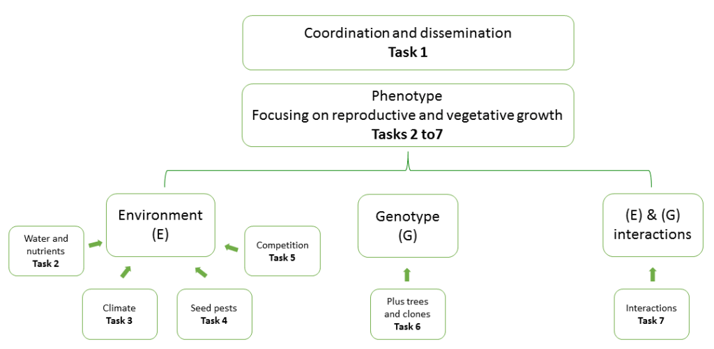 Pinua Project 3.2.2. Plan and Methods – Pinea Project
